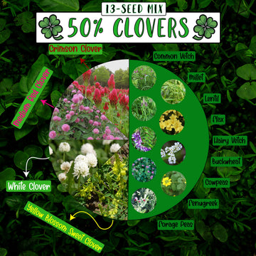 No-Till Solutions No-Till Cover Crop Seed Mix ½-lb Bag - 13-Seed Blend with Clovers, Fenugreek, Vetch, Cowpeas, and More