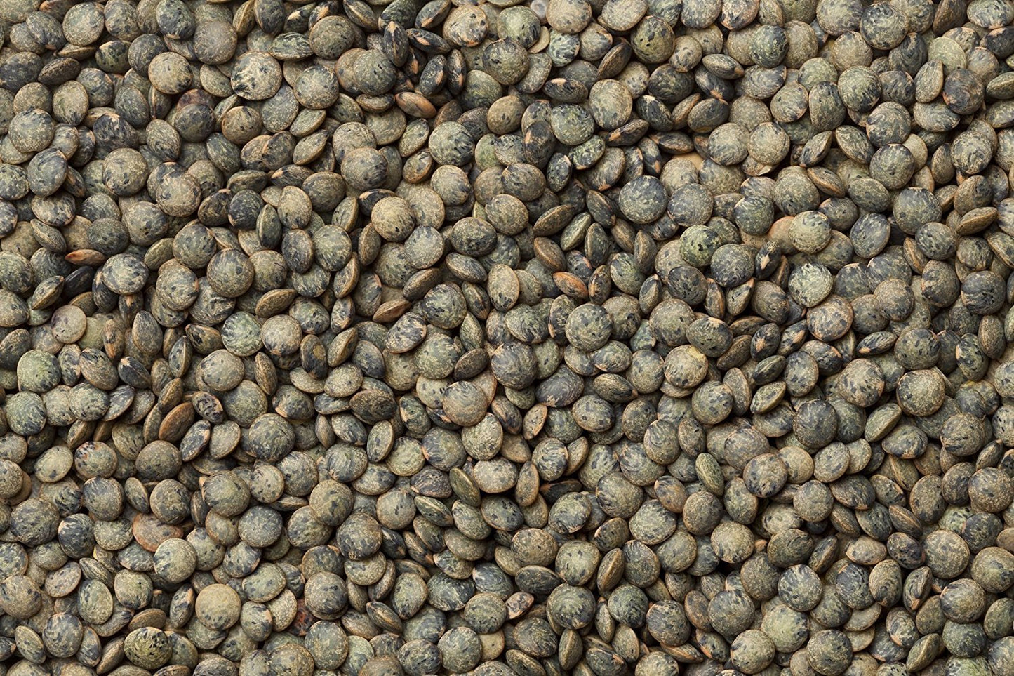Hunza Organic French Lentils (2 lbs)