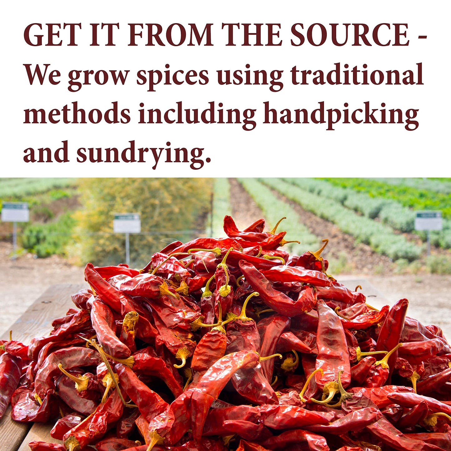 The Spice Way Lemon Peel - Granules (4 Oz) Zest And Rind Without Any Preservatives. Fresh Lemon Zest Or Dried Lemon Peel For Coo