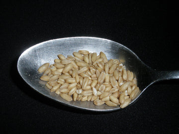Whole Oats 5 Pounds Hulled, Groats, Usda Certified Organic Non-Gmo Bulk, Mulberry Lane Farms