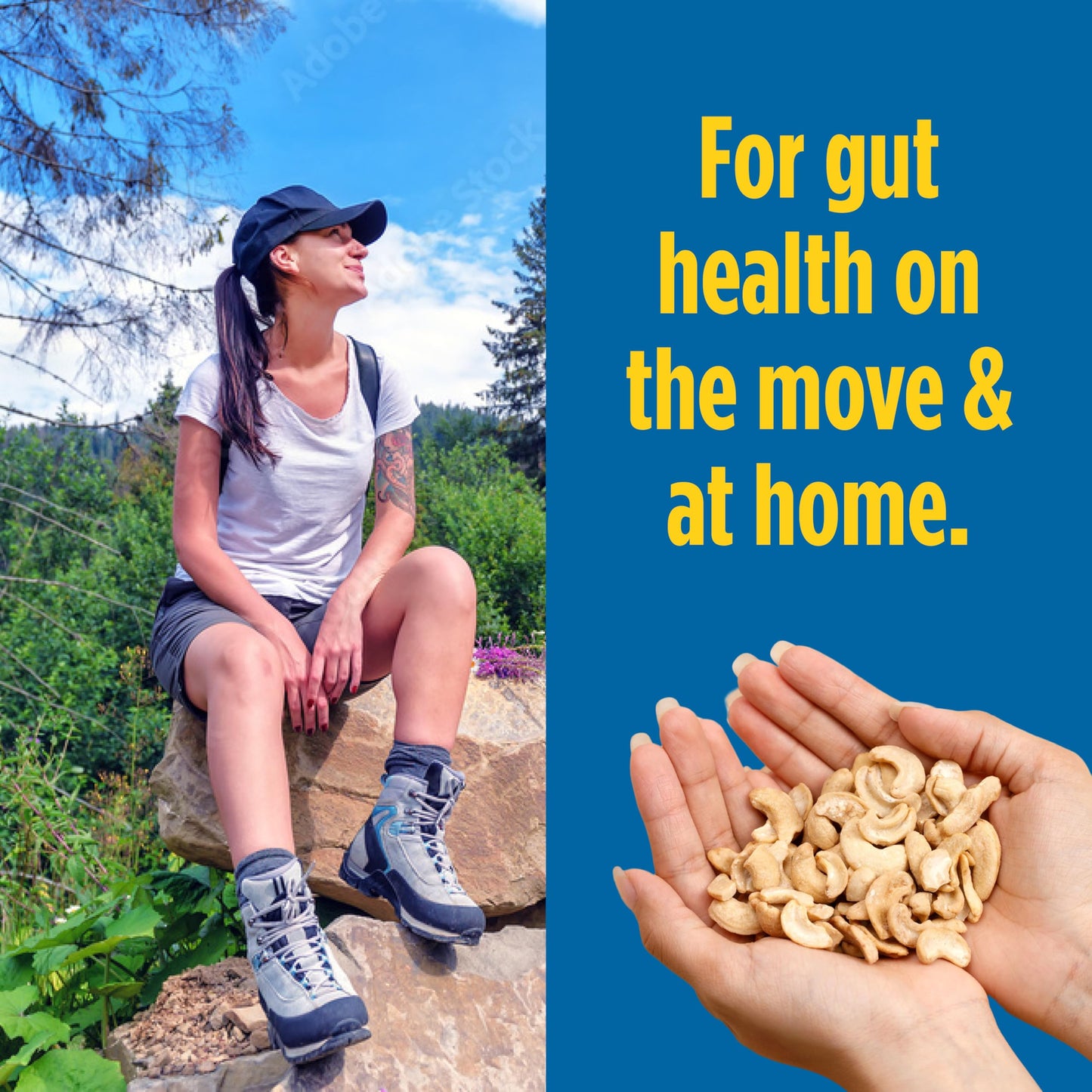 Philosopher Foods Gut Nuts - Fermented Sourdough Almonds - 3 oz - Low Carb Keto Snack