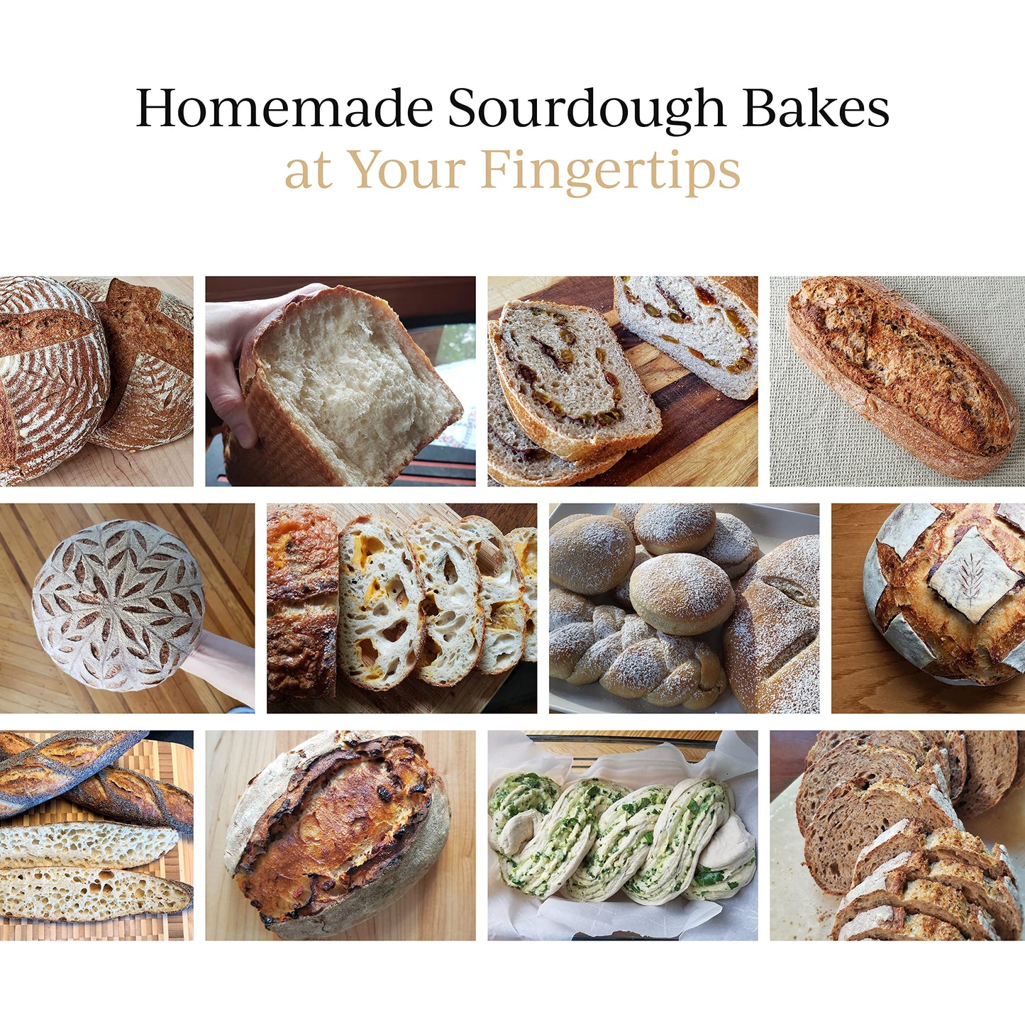 Breadtopia Live Sourdough Starter | Organic Non-GMO | Active, Ready to Use | 1.23 Ounce