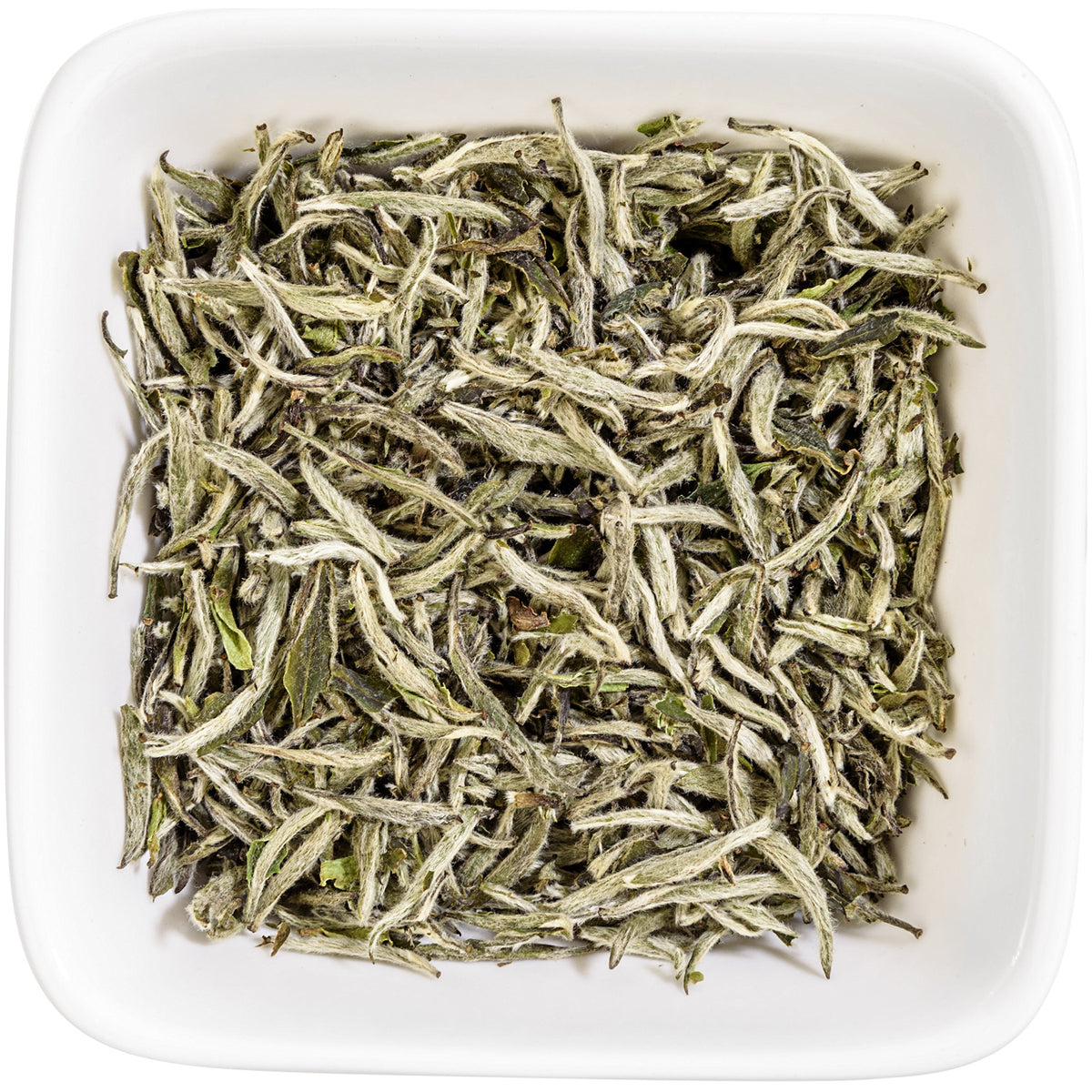Tealyra Premium White Silver Needle Tea, Loose Leaf, Low Caffeine, 220g (8 oz)
