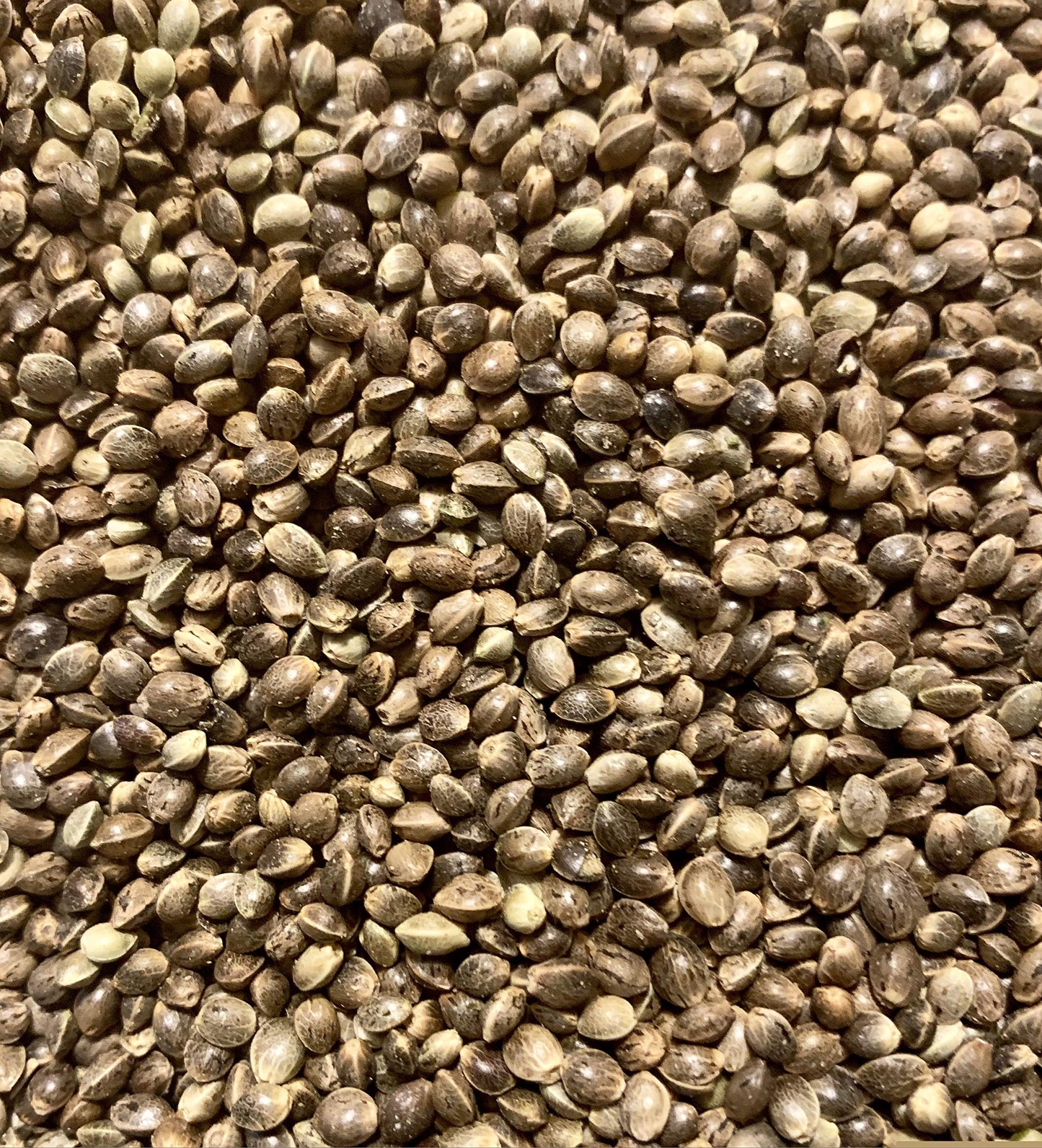 Ripkitty Premium Whole Raw Hemp Seeds, Organic, Kosher, Vegan, Allergen-Free, 20g