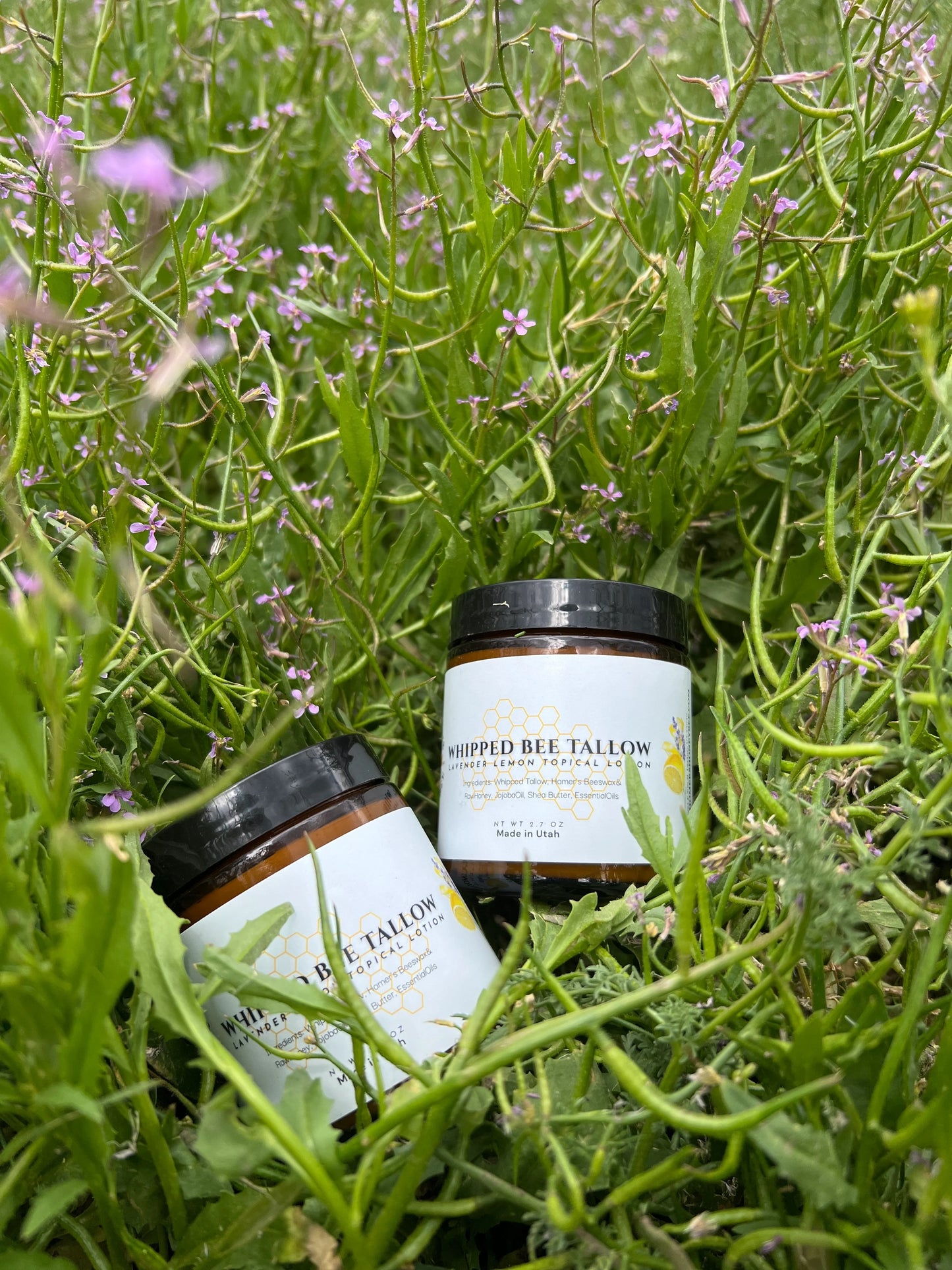 Whipped Bee Tallow Lotion