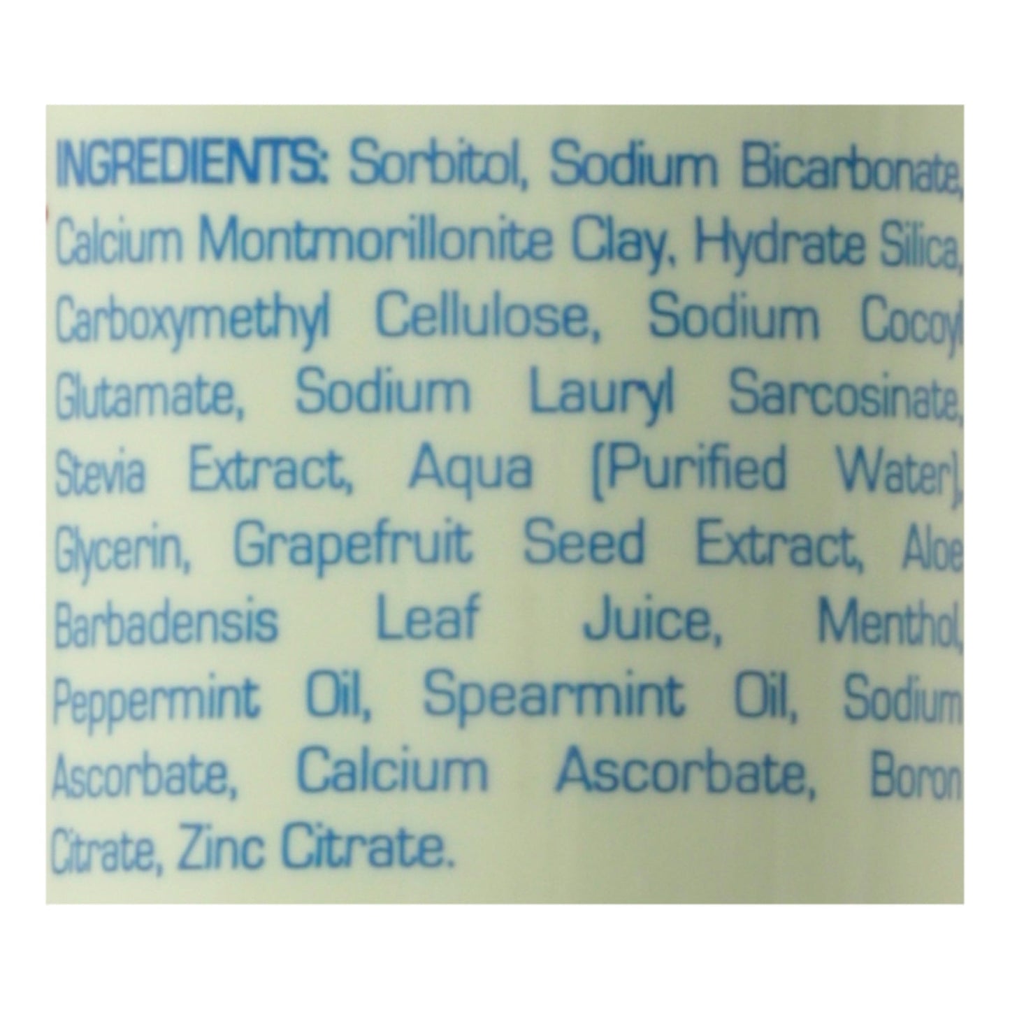 Zion Health Claybrite Natural Mint Toothpaste 3.2 Oz