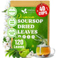 40 Premium Soursop Graviola Leaf Tea Bags, 100% Natural and Pure from Soursop Leaves, Handmade, Made With Natural Materials-Corn Fiber Tea Bag, Sugar/Caffeine/Gluten Free, Hoja Guanabana Tea