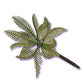 Large Palm Trees Pick - 6" - 12 Count or 72 Count