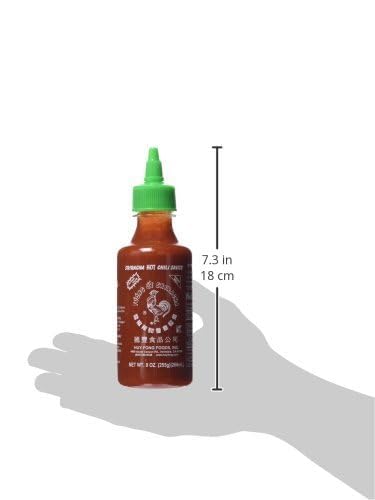 Huy Fong Sriracha Hot Chili Sauce, 9 Ounce (Pack Of 1)
