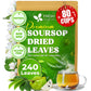 40 Premium Soursop Graviola Leaf Tea Bags, 100% Natural and Pure from Soursop Leaves, Handmade, Made With Natural Materials-Corn Fiber Tea Bag, Sugar/Caffeine/Gluten Free, Hoja Guanabana Tea