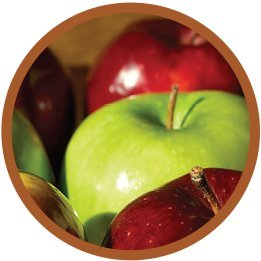 Modern Oats Apple Walnut Oatmeal, 2.6 Ounce (Pack Of 12)