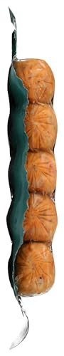 Bilinski, Organic Mild Italian Chicken Sausage, 12 Ounce