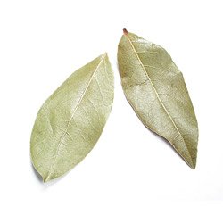 BAY LEAVES, TURKISH-WHOLE (HAND SELECTED)