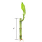 Nw Wholesaler - 4 Live Lucky Bamboo Plant - Bundle Of 20 Stalks - Live Indoor Houseplants For Home Decor, Live Bamboo Plant, Indoor Low Light Plants, Feng Shui (20)
