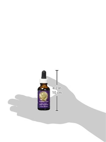 Flower Essence Services Dropper Herbal Supplements, Joshua Tree, 1 Ounce