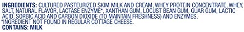 Lactaid, Low Fat Cottage Cheese, Plain, 16 oz