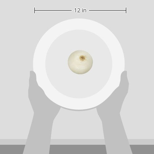 White Onion, 1 Each