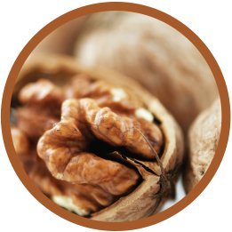 Modern Oats Apple Walnut Oatmeal, 2.6 Ounce (Pack Of 12)