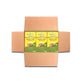Organic Moringa Energy Tea - Ginger Lemon - Natural Coffee Alternative