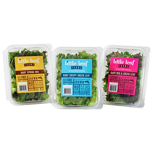 Little Leaf Farms Crispy Baby Locally grown, Green Leaf Lettuce, 4 Ounce