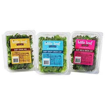 Little Leaf Farms Crispy Baby Red & Green Leaf Lettuce, 4 Ounce
