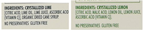 True Lemon & True Lime Bulk Dispenser Packets, 100 Count (Pack of 2)