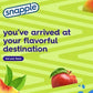 Snapple Peach Tea, 16 Oz., 12/Pack (10099485)