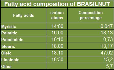 Brazil Nut Oil (Castanha do Par  ) (16 Oz) natural unrefined pure
