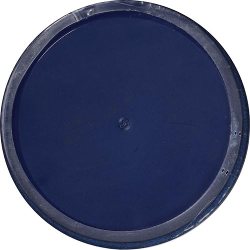 Litehouse Chunky Blue Cheese Dressing & Dip, 13 oz