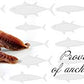 Agostino Recca Anchovies Fillets In Olive Oil - Wild Caught Fish From Italy - Anchovy Fillets For Pizza, Pasta, Salads (8.1 Oz)