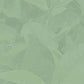 Davidson'S Organics, Sencha, 100-Count Unwrapped Tea Bags