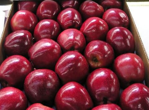 Generic Red Delicious Apples, Fresh Fruit, Usa Grown, Non-Gmo, Bulk (10 Pounds)