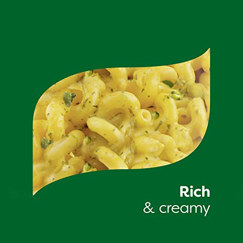 Knorr Cheddar Broccoli Pasta, 4.3 Oz