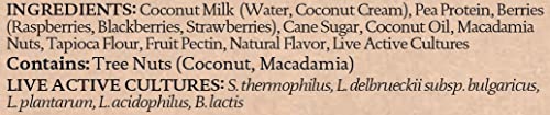 siggis Plant-Based Coconut Blend, Mixed Berry, 5.3 oz. Cup - Single Serving Dairy Free Snack, More Protein Than Sugar