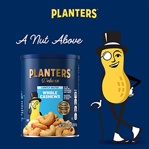 PLANTERS Deluxe Lightly Salted Cashews, Party Snacks, Plant-Based Protein, Quick Snack for Adults, After School Snack, Flavored