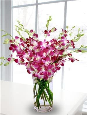 Fresh Cut Purple Orchid With Custom Printed Ribbon (30 Stems With Vase)