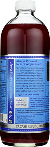 Synergy The Real Kombucha, Gingerberry - 48oz