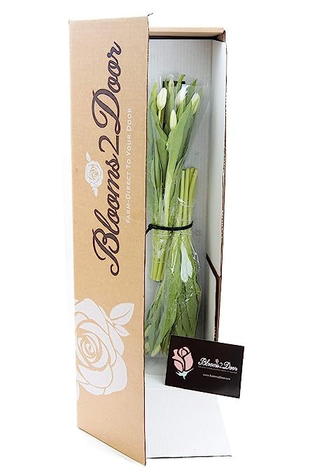 Kabloom Flowers - Mother'S Day Collection - Premium 20 White Tulips - Farm Direct Wholesale Fresh Flowers. Gift For Birthday, An