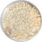 STATESBORO Artisan Blue Cheese Crumbled, 4 oz