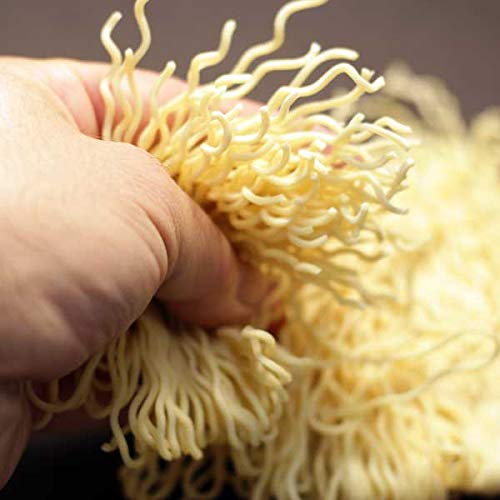 Hakubaku Authentic Ramen Noodles (8 PAcK)