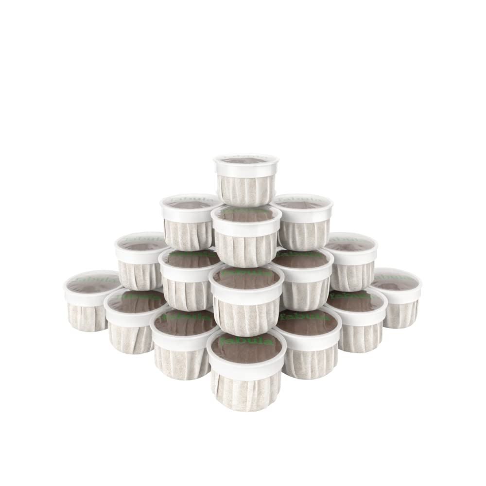Fabula Coffee Pods Hazelnut Medium Roast - Low Acid - Single Origin - Mold Free - Non-Gmo - Fair Trade - Kcup Compatible With Ke