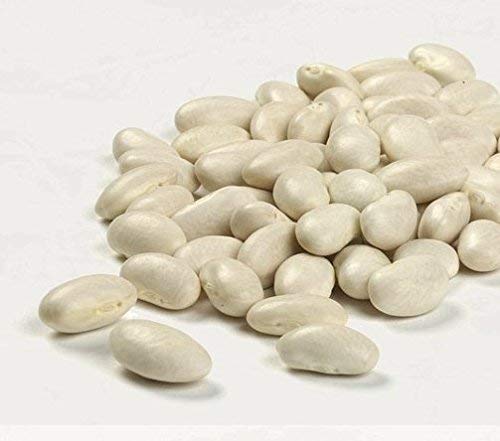 Camellia Brand Dried Great Northern Beans, 1 Pound (Pack Of 2)…