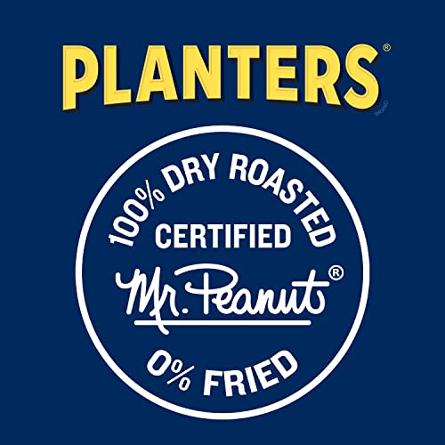 PLANTERS Deluxe Lightly Salted Cashews, Party Snacks, Plant-Based Protein, Quick Snack for Adults, After School Snack, Flavored
