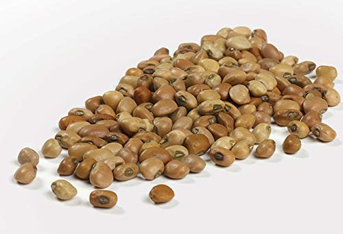 Camellia Brand Dried Field Peas, 1 Pound (Pack Of 2)