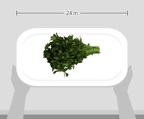 Organic Italian Parsley (Flat Leaf), One Bunch