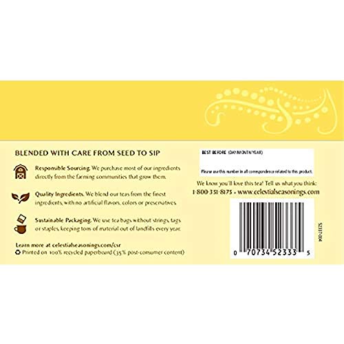 Celestial Seasonings Herbal Tea Jammin Lemon Ginger 20 Count Box