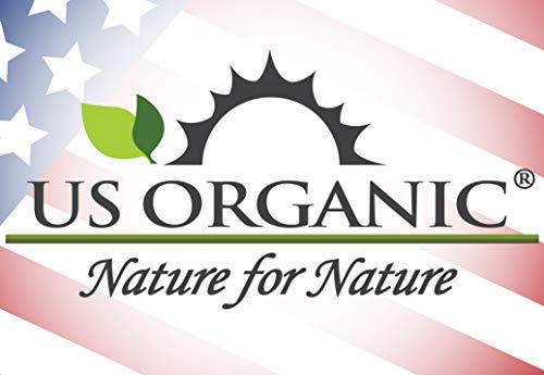 US Organic Avocado Oil Unrefined Virgin, 128 Fl Oz, USDA Certified Organic, Cold Pressed, Dark Green, Model AVOL128
