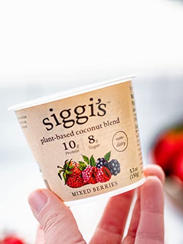 siggis Plant-Based Coconut Blend, Mixed Berry, 5.3 oz. Cup - Single Serving Dairy Free Snack, More Protein Than Sugar