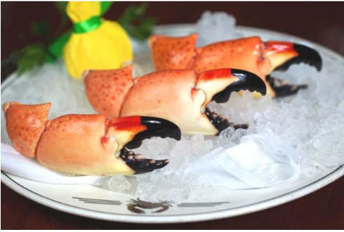 Fresh Florida Stone Crab Claws (Medium, 3 Lb) The Rolls Royce Of Claws - 6 To 8 Pieces Per Pound | Premium Gourmet Seafood | All