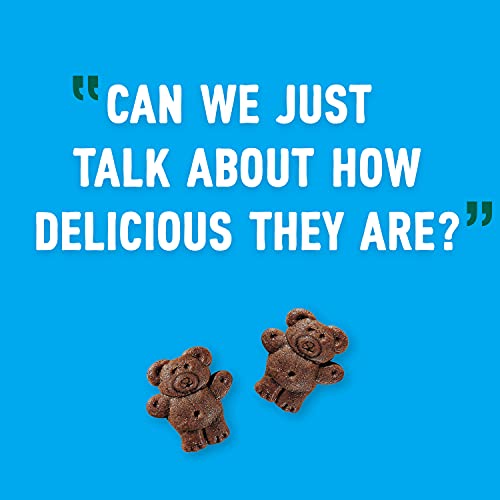 Teddy Grahams Chocolate Graham Snacks,10 Ounce (Pack of 12)